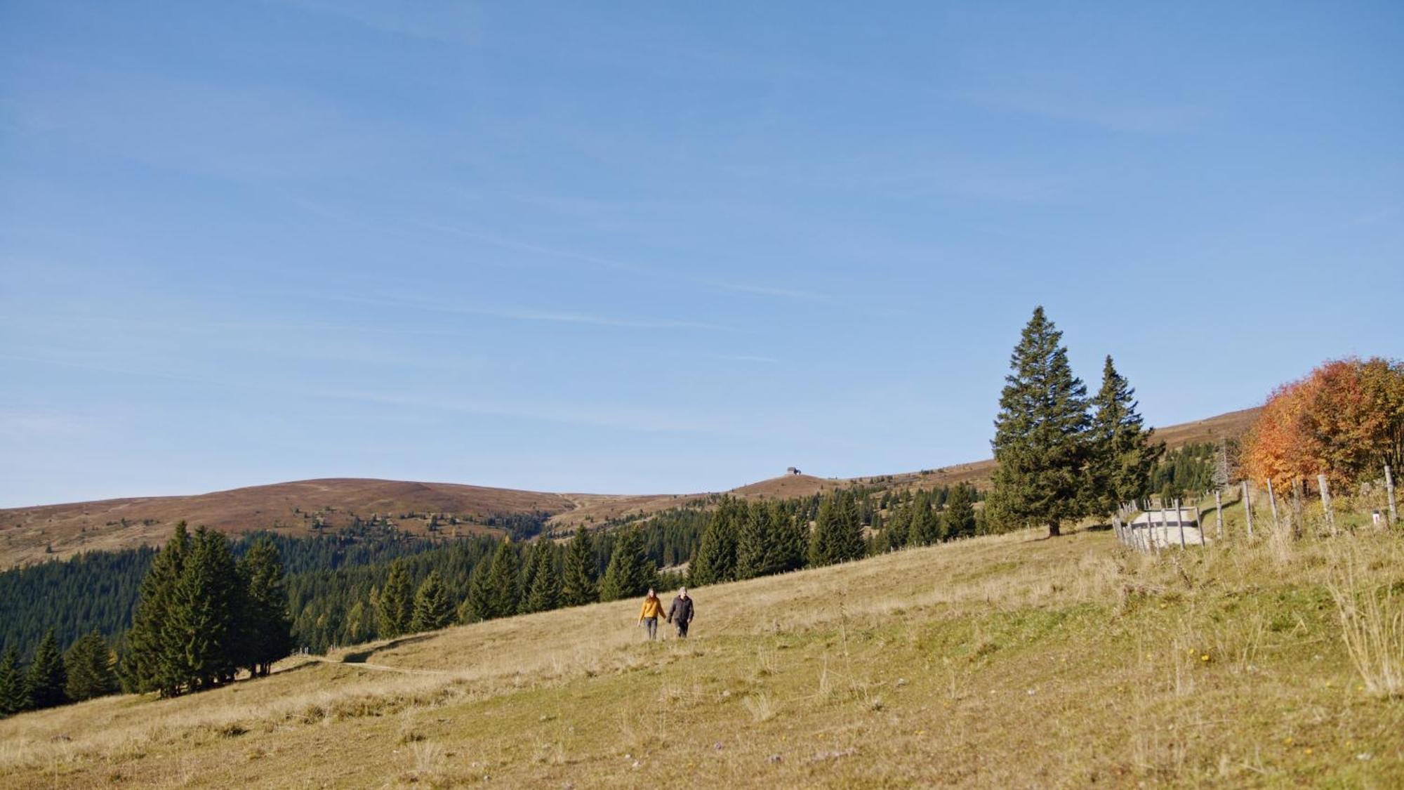 Alpengasthaus Giesslhuette Otel Wolfsberg Dış mekan fotoğraf